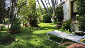 Les Pins , Av Pedragosa Sierra P Del Este , 2 dormitorios